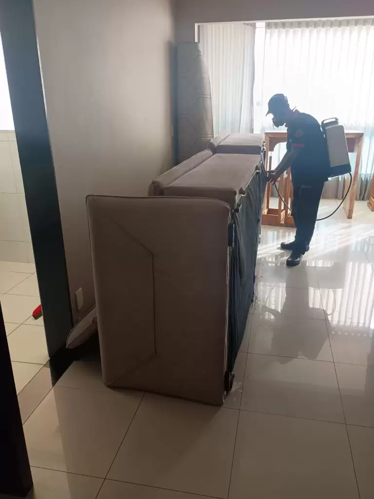 Imuni em ação 3