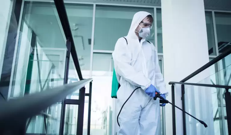 Controle de pragas com armadilhas para insetos voadores: como funciona